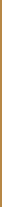 gold-line-middle